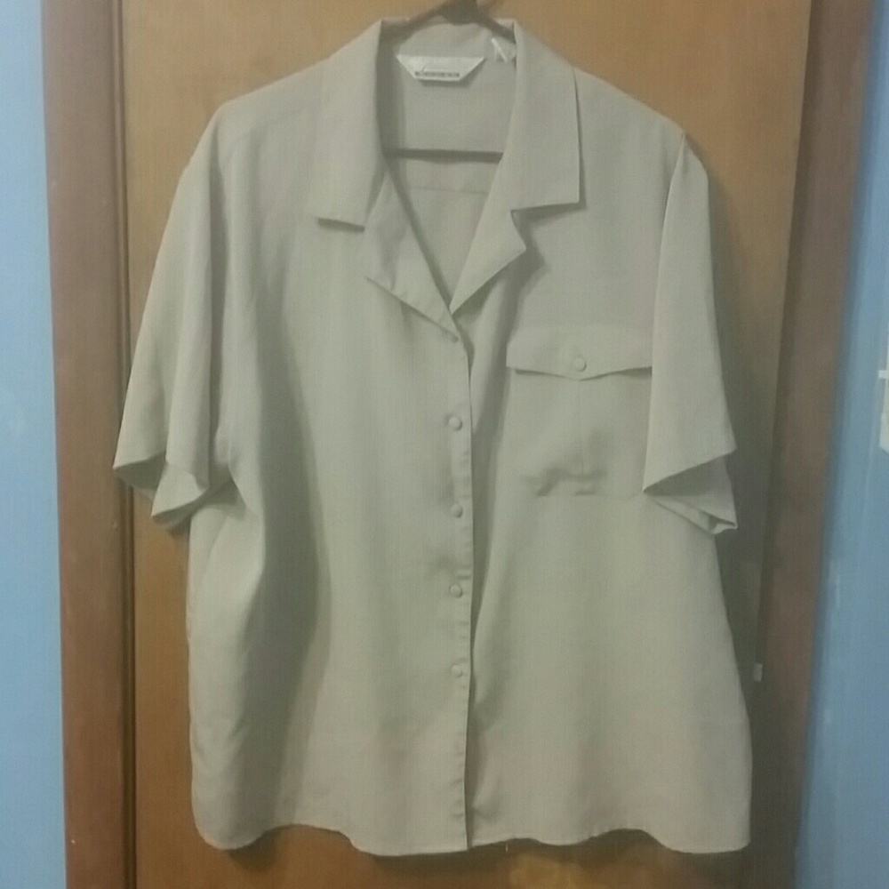 Tan short sleeve blouse